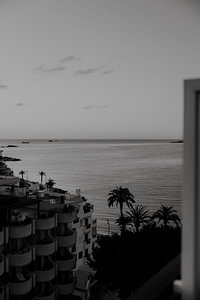 Schwarz-Weiß-Bild des Sonnenaufgangs in Ibiza-Stadt mit Blick auf das Meer und Palmen