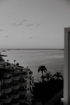Zwartwit beeld van zonsopkomst in Ibiza stad met uitzicht op zee en palmbomen