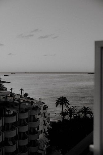 Black and white image of sunrise in Ibiza town overlooking the sea and palm trees