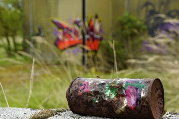 Last traces in the restricted area"