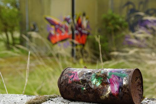 Last traces in the restricted area"