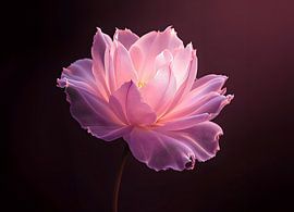 Rosa Lotosblume von Eye on You