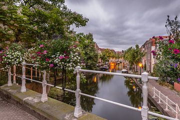 De Vliet, Leiden van Carla Matthee