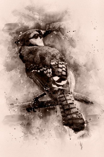 Blauwe Gaai, Aquarel van een vogel in zwart en creme van MadameRuiz