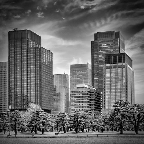 Ginza Skyline Tokio | monochroom
