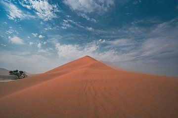 Duin in Sossusvlei in Namibië, Afrika van Patrick Groß