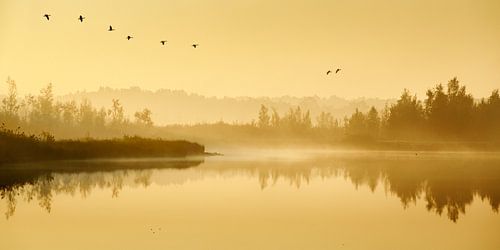 Ein stimmungsvoller Morgen in der Groote Peel