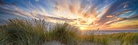 Sonnenuntergang auf den Dünen und der Nordsee II von eric van der eijk Miniaturansicht