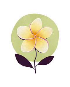 Abstract jasmine