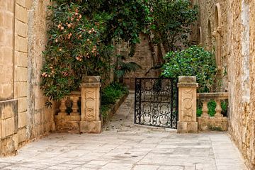 Kleiner Platz auf Malta | idyllischer kleiner Platz auf der Insel Malta von Marcel Mooij