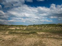 duin landschap