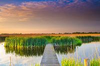 Natuurgebied de Groene Jonker