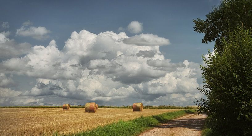 Late Summer by Dieter Beselt