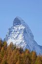 Zermatt : Matterhorn van Torsten Krüger thumbnail