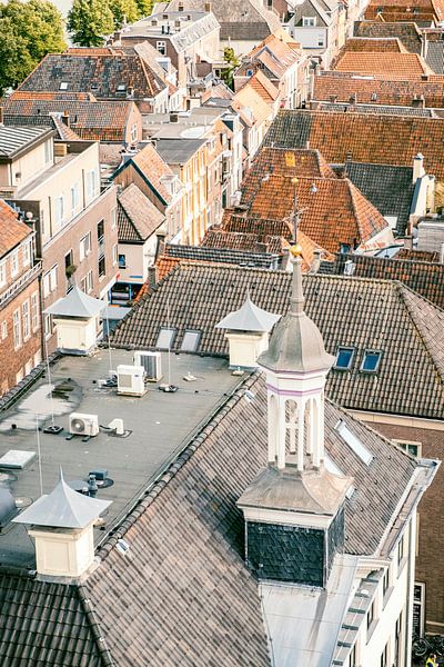 Uitzicht over de daken in Hanzestad Kampen van Sjoerd van der Wal Fotografie