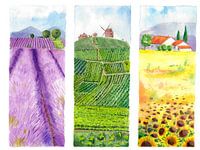 Collection artwork French Provence with Lavender, vineyards and sunflowers