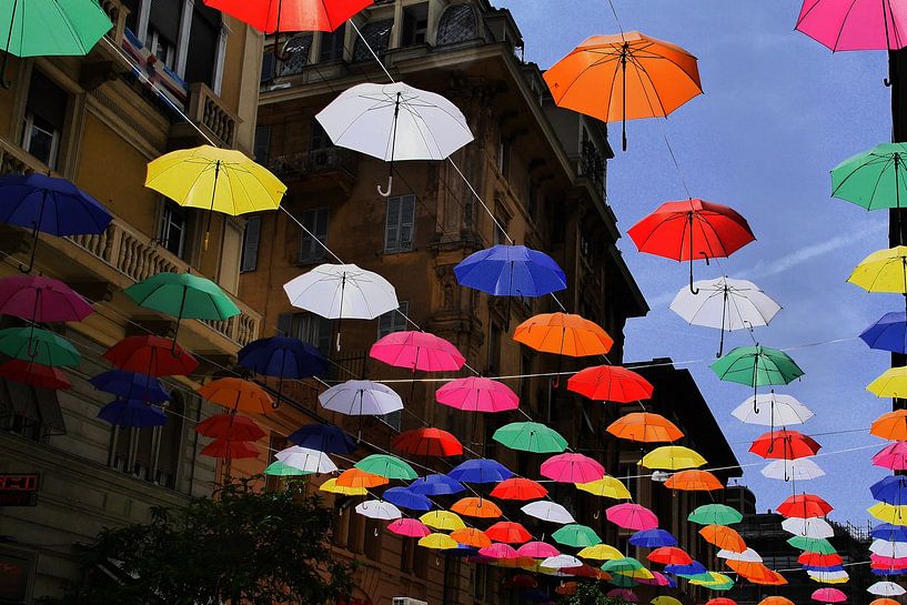 Colourful umbrellas in Genoa | Italy by Flatfield