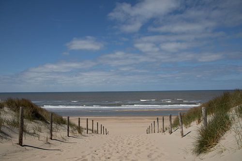 vue sur la transition entre la dune et la plage