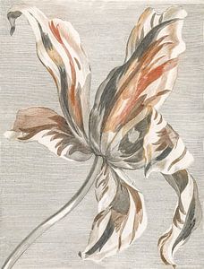 Abstract tulp met lijnenspel - Johan Teyler
