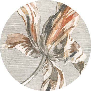 Abstract tulp met lijnenspel - Johan Teyler