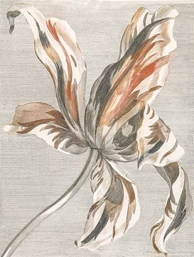 Abstract tulp met lijnenspel - Johan Teyler van Kjubik