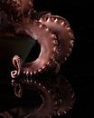 Octopus van Alex Neumayer thumbnail