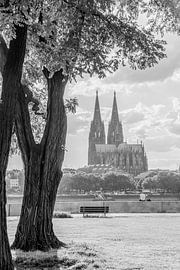 Kölner Dom von Günter Albers