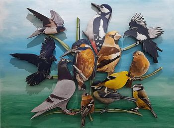 Vogels vliegen door de lucht of zitten op een tak