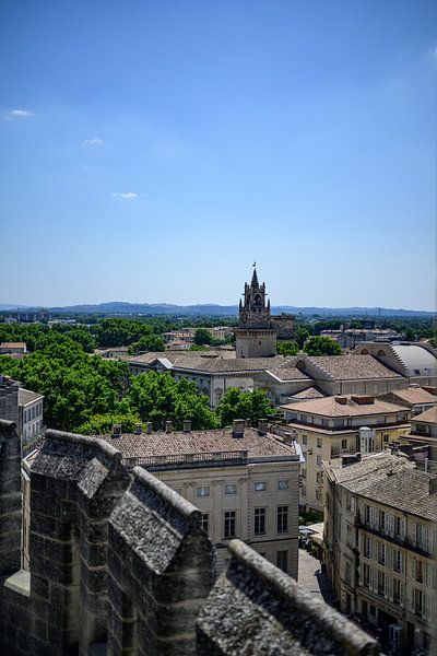 Blick auf Avignon in der Provence im Sommer von Sjoerd van der Wal Fotografie