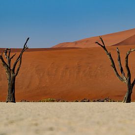 Deadvlei, Namibie sur Menso van Westrhenen