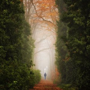 Walk of Life von Martin Podt