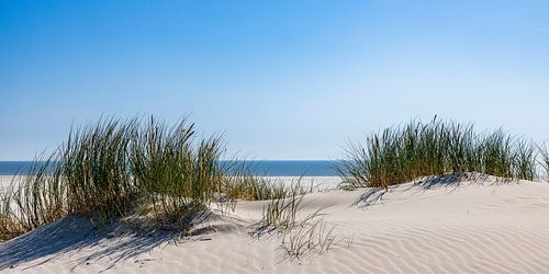 La paix dans les dunes