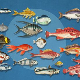 Something Fishy Going On - 3D van Marja van den Hurk
