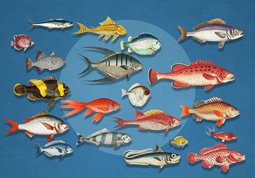 Something Fishy Going On van Marja van den Hurk