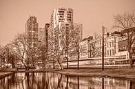 Rotterdam Westersingel - monochroom van Frans Blok thumbnail