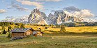 The Alpe di Siusi in the evening light
