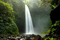 Jungle waterfall by Jonathan Krijgsman thumbnail