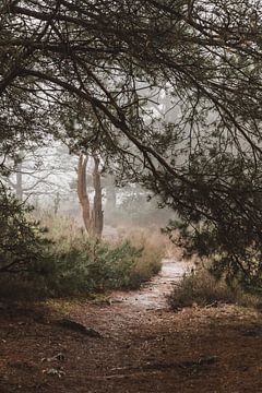 Leuk doorkijkje van onder naaldbomen naar de heide van Merlijn Arina Photography