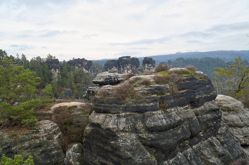 Rotsen in het Elbezandsteengebergte bij de Bastei van Martin Köbsch