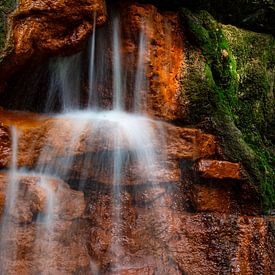 yellow spring flows by Xenia Blair