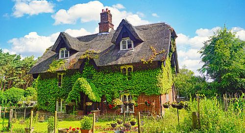 Met lianen bedekt huis op het pad in Suffolk