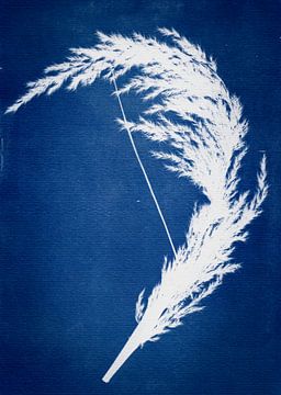 Sanfte Stille von Piret Victoria Ribas Art & Photography