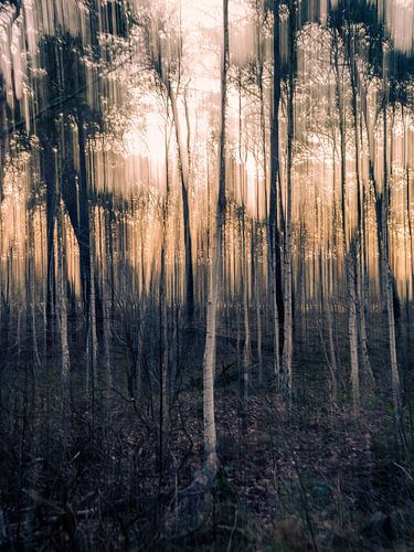 den Treek Henschoten part 1