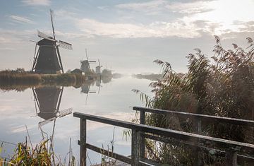 Mühlen Kinderdijk im Herbst von Mark den Boer