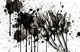 Blossom light in the silence of the morning by Johnny Flash