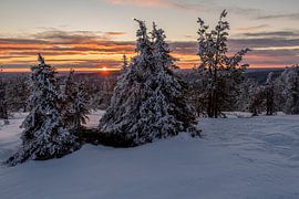 Winter in Lapland by Stephan Schulz