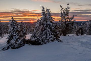 Winter in Lapland van Stephan Schulz