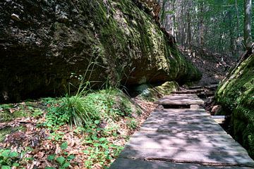 Wandelpad door de Landgrafenschluchtkloof bij Eisenach