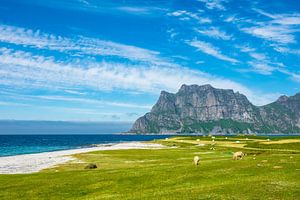 Utakleiv Beach on the Lofoten islands in Norway sur Rico Ködder