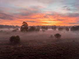 Misty morning by Jarno Pors